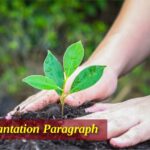 Tree Plantation Paragraphs for Class 5–12 (150–400 Words)