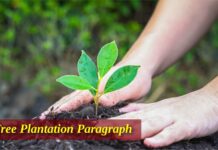 Tree Plantation Paragraph