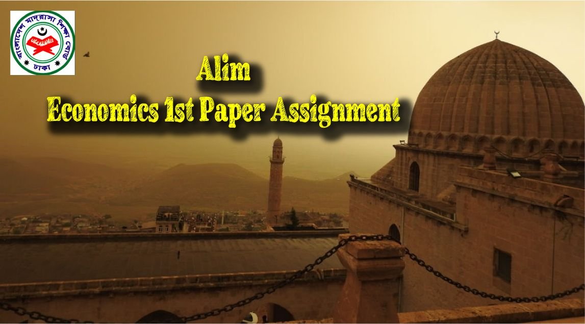 Alim Economics 1st Paper Assignment