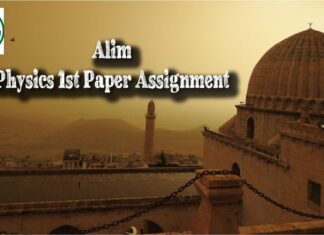 Alim Physics 1st Paper Assignment
