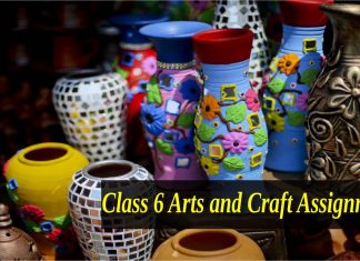 Class 6 Arts and Craft Assignment