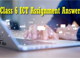 Class 6 ICT Assignment