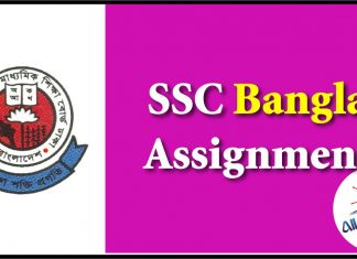SSC Bangla Assignment