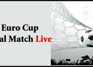 Euro Cup Final Match