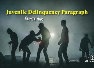 Juvenile Delinquency Paragraph