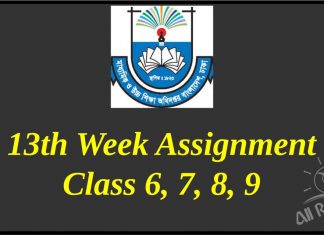 13th Week Assignment