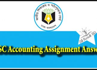 HSC Accounting Assignment Answer