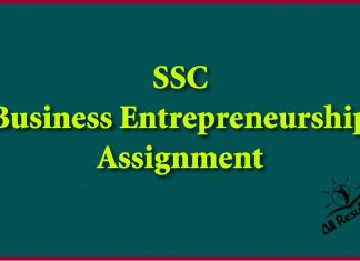 SSC Business Entrepreneurship Assignment