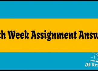 19th Week Assignment