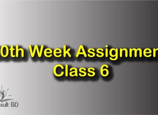 20th Week Assignment Class 6