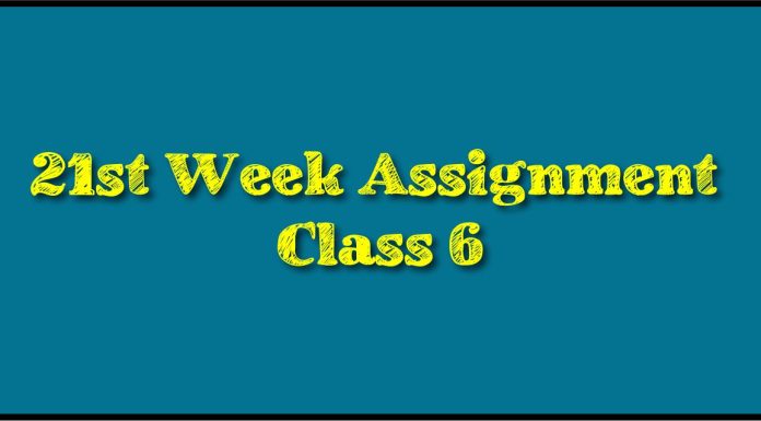 Class 6 Assignment Answer 21st week