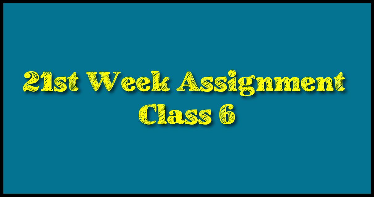 Class 6 Assignment Answer 21st week