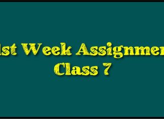 Class 7 Assignment 21st Week