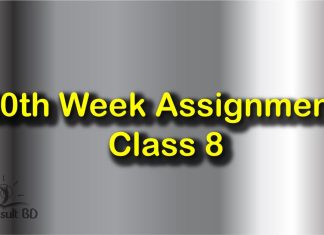 Class 8 Assignment 20th Week