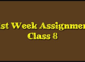 Class 8 Assignment 21st Week