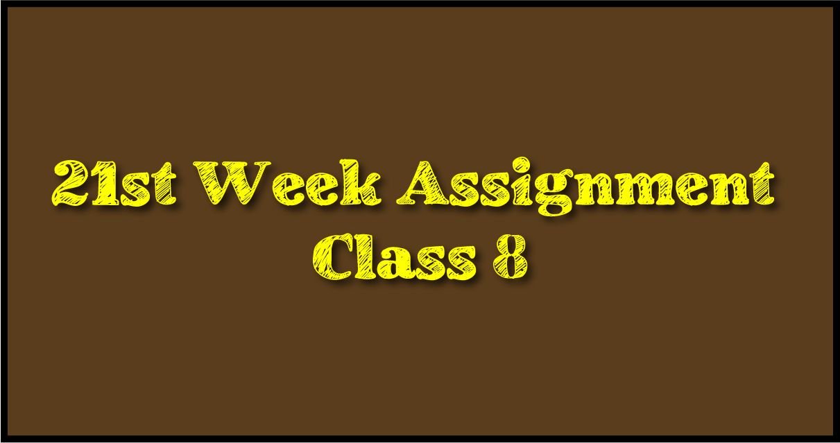 Class 8 Assignment 21st Week