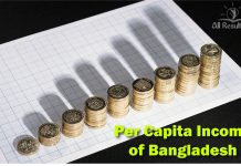 Per Capita Income of Bangladesh