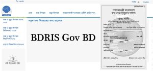 BDRIS Gov BD (জন্ম নিবন্ধন অনলাইন কপি ডাউনলোড) login online