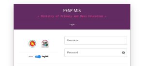 PESP Finance Gov BD Login (প্রাথমিক শিক্ষা উপবৃত্তি কার্যক্রম) PESP MIS
