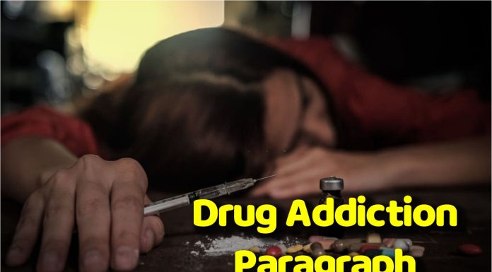 Drug Addiction Paragraph