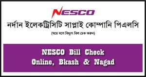 NESCO Bill Check Online Complete Process 2026 [Online, Bkash & Nagad]