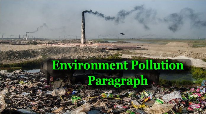 environment pollution paragraph