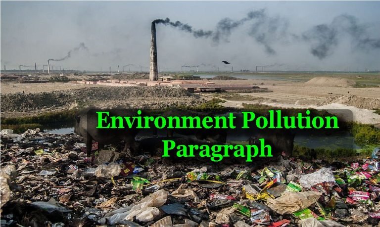environment pollution paragraph