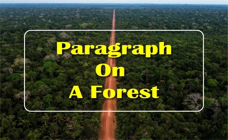 A Forest Paragraph
