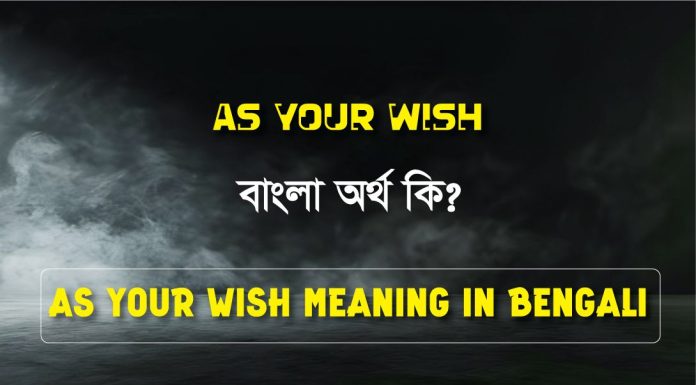 As Your Wish Meaning in Bengali