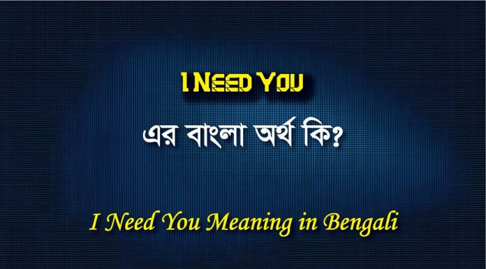 I Need You Meaning in Bengali