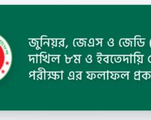 junior scholarship result